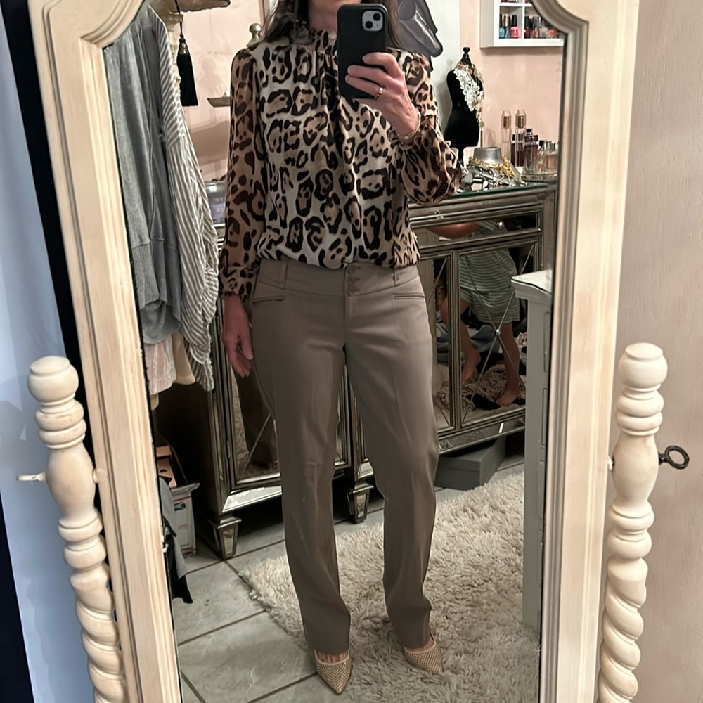 Taupe Dress Pants